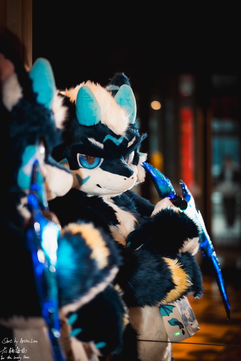终于有毛五可以发了！
Finally！It's Fursuit Friday！！！
📷龙栖海北
#furry #FursuitFriday