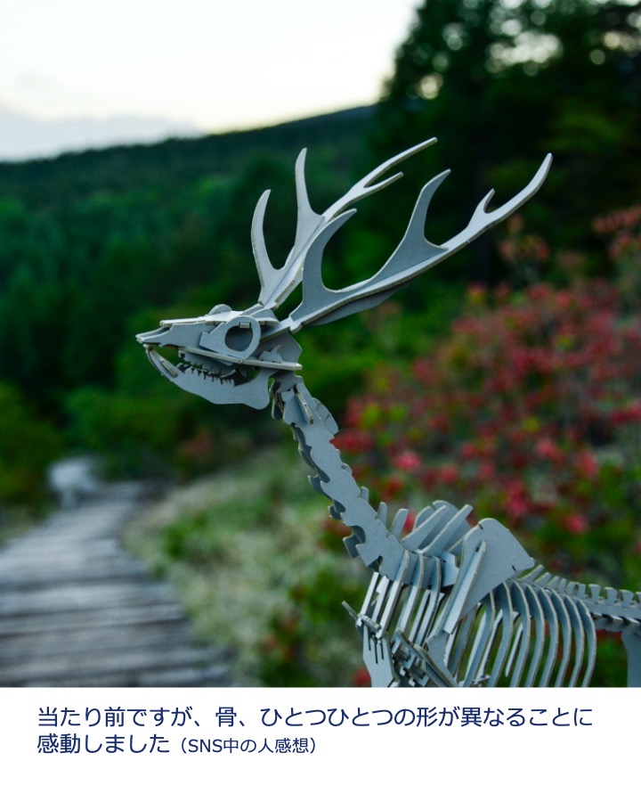 🐙生物研究社(海洋と生物)🐟 (@aquabiology) / X 🐙生物研究社(海洋と生物)🐟 (@aquabiology) / X