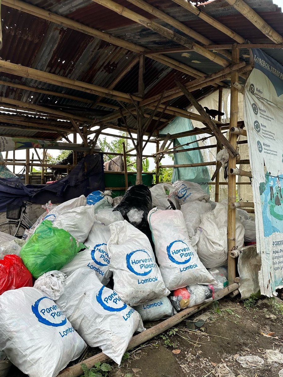 Showing the way on Woman’s Day w/our Harvest Plastic Program in Lombok &amp; over 300kg of clean, uncontaminated plastic from over 100 households, with over 85% recovery rate ….. all via smart, creative ways for societal change.  Totally doable virtually anywhere.  #harvestplastic