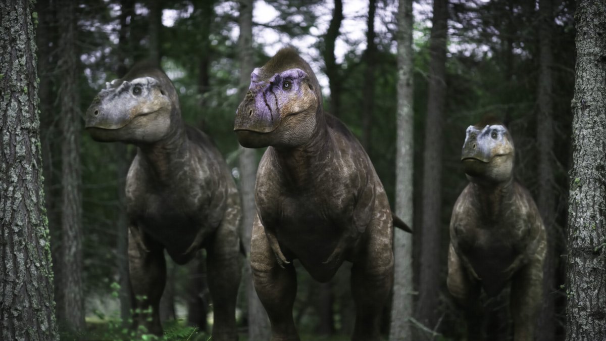 raftingzalmoxes's tweet photo. #WWD2025 #MesozoicLifeProject #ForgottenBloodlines #DINOSAURIA
At present: 2025 IN (scientifically credible) PALEO MEDIA. https://t.co/XgOm5U4G4G