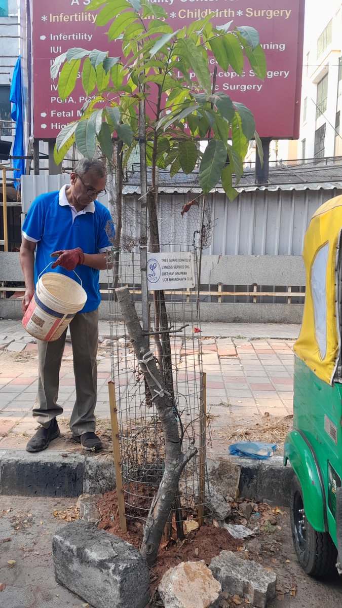 RathaHasiru's tweet photo. In and around Krishna Rao park. Maintenance and watering work.
#HasiruRatha #GreenBangalore #NammaBengaluru #SaveTrees #GoGreen #UrbanForests #CommunityForClimate #SustainableLiving #EveryDropCounts
#ProtectNature https://t.co/DWSJKp2KXI
