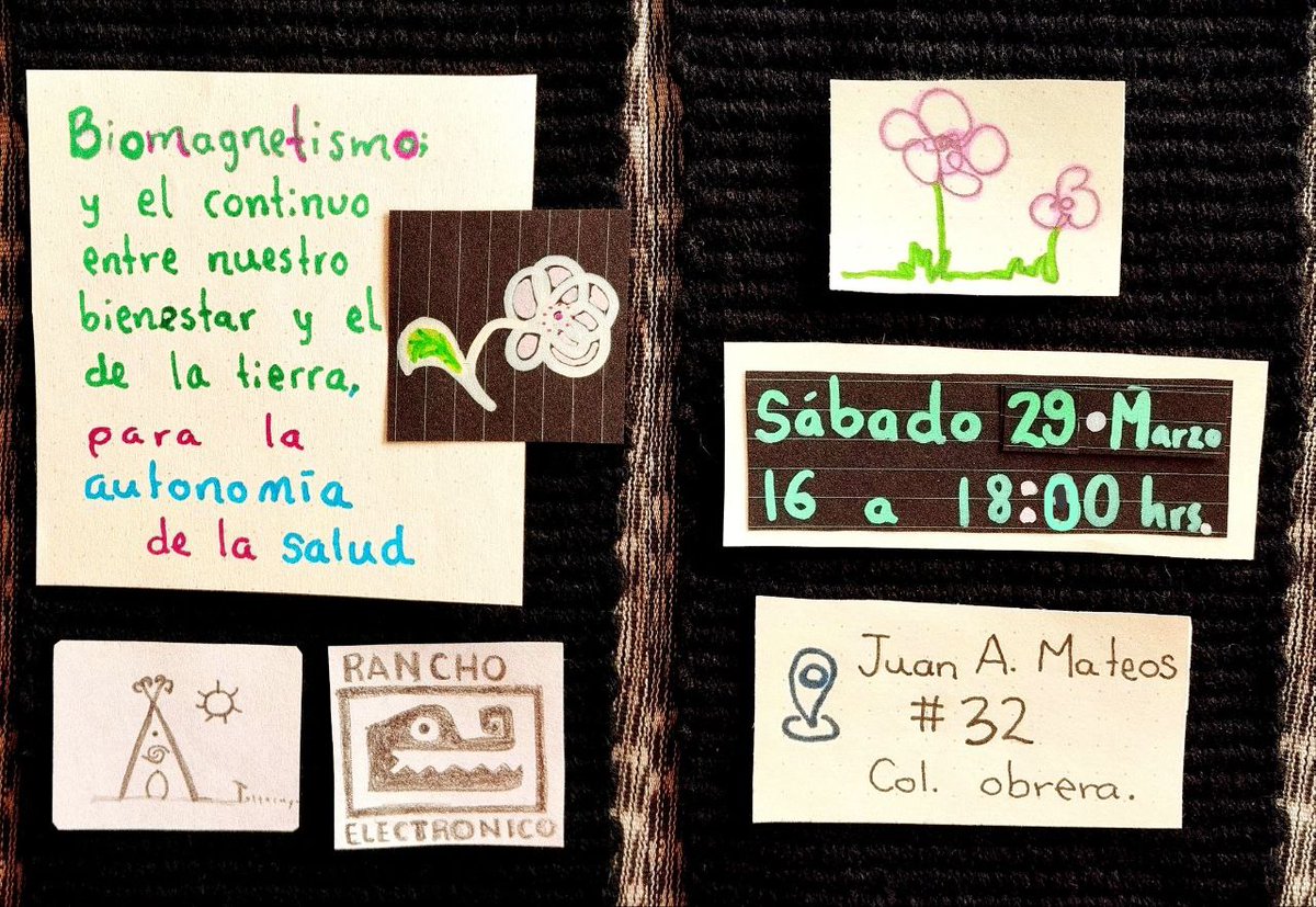 Rancho Electrónico ⚡ tweet media