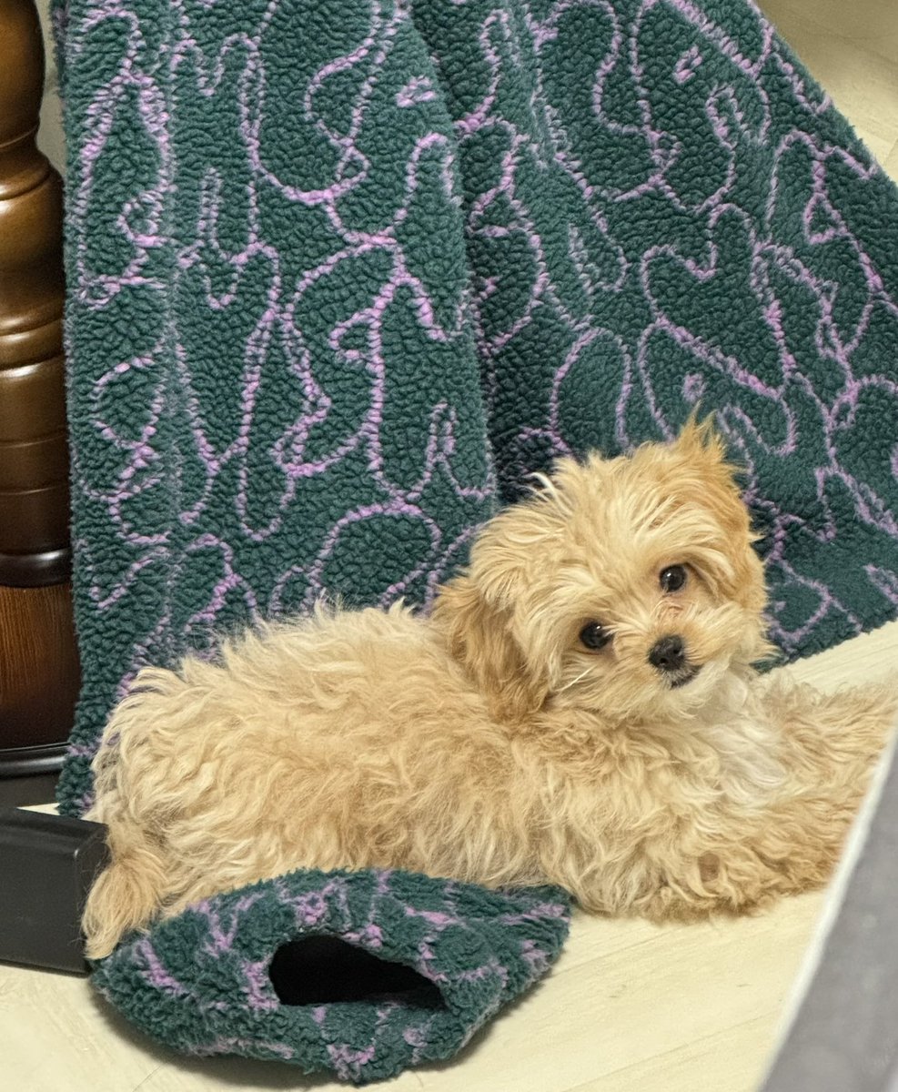 누가 요래 이쁘게 앉아있어?