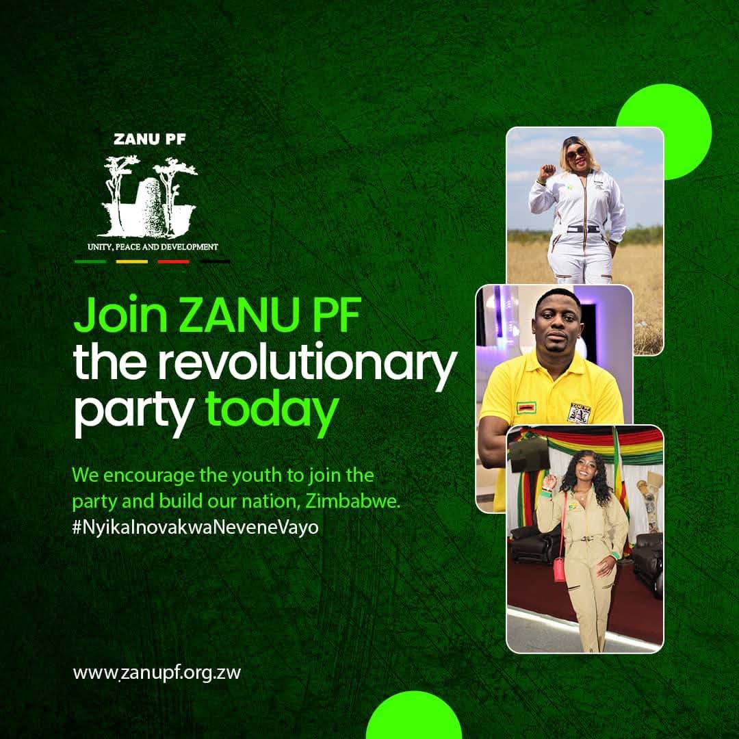 Butroes's tweet image. The moment you find yourself calling out Party Leadership on Social Media while ignoring the official ZANU PF channels of communication, know you are not ready to call yourself a ZANU PF Cadre, stand guided.