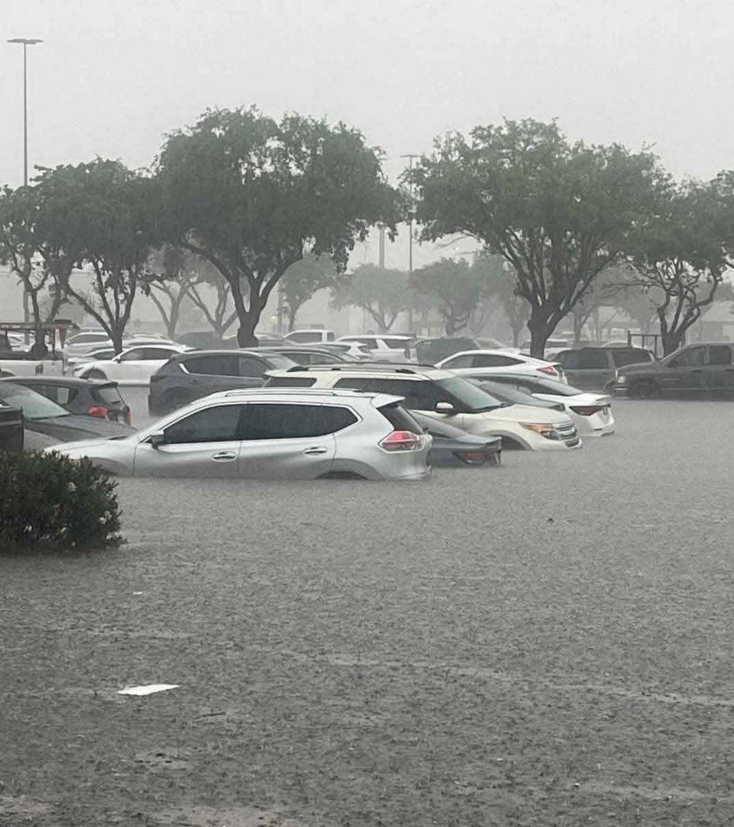 CuartaPlana tweet media