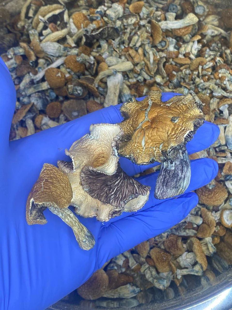 Dm me or click on my telegram username below 👇👇to order 

@James_Butlands

#psyart. #illustration.
#psychedelictrance. #artistsoninstagram.
#psytrancefamily. #artoftheday.
#psytrancefestival. #ai.
#psyfamily. #trancemusic.
#psychedelics. #dj.
#psychedelicrock. #aiartcommunity