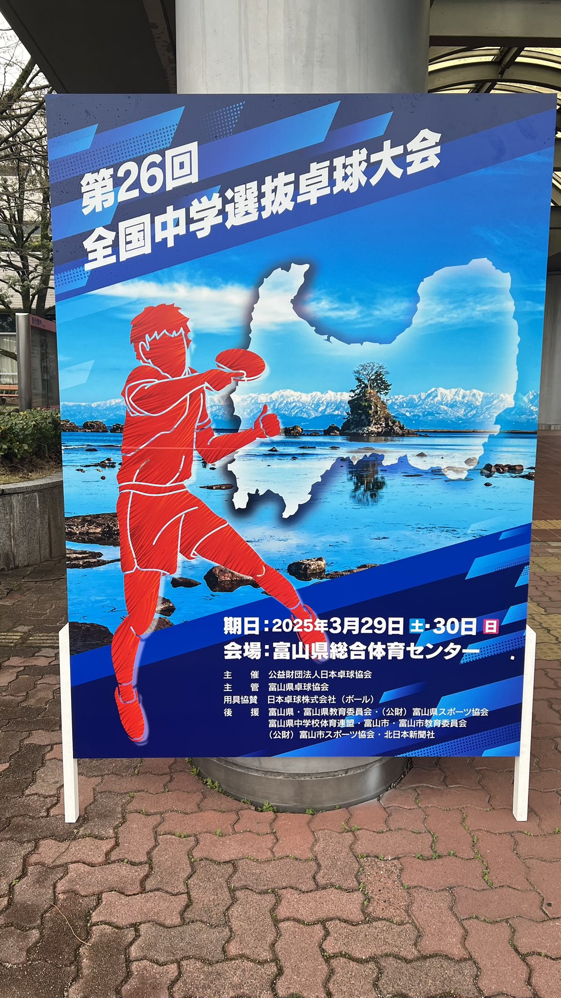 卓球　dvd 　～公立中学校が県大会・ブロック大会を勝ち抜くための必勝法～ 卓球 dvd ～公立中学校が県大会・ブロック大会を勝ち抜くための