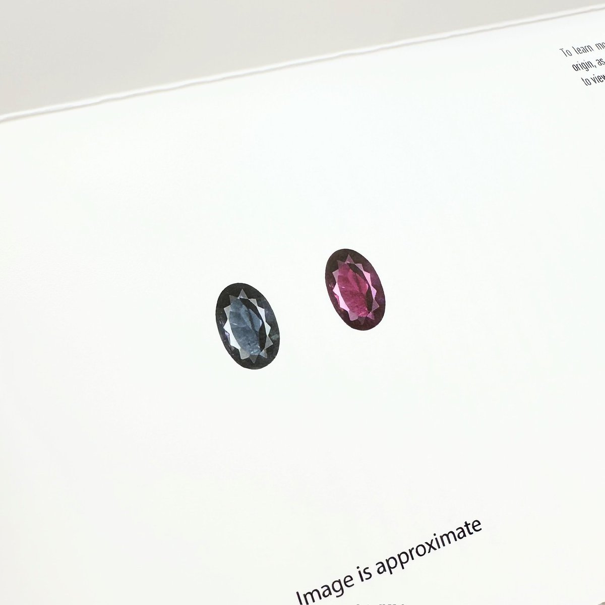 Wisteria Jewelry☆ ウィス☆ tweet media