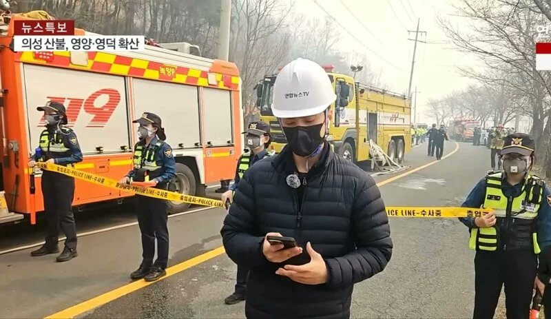 윤서인 tweet media