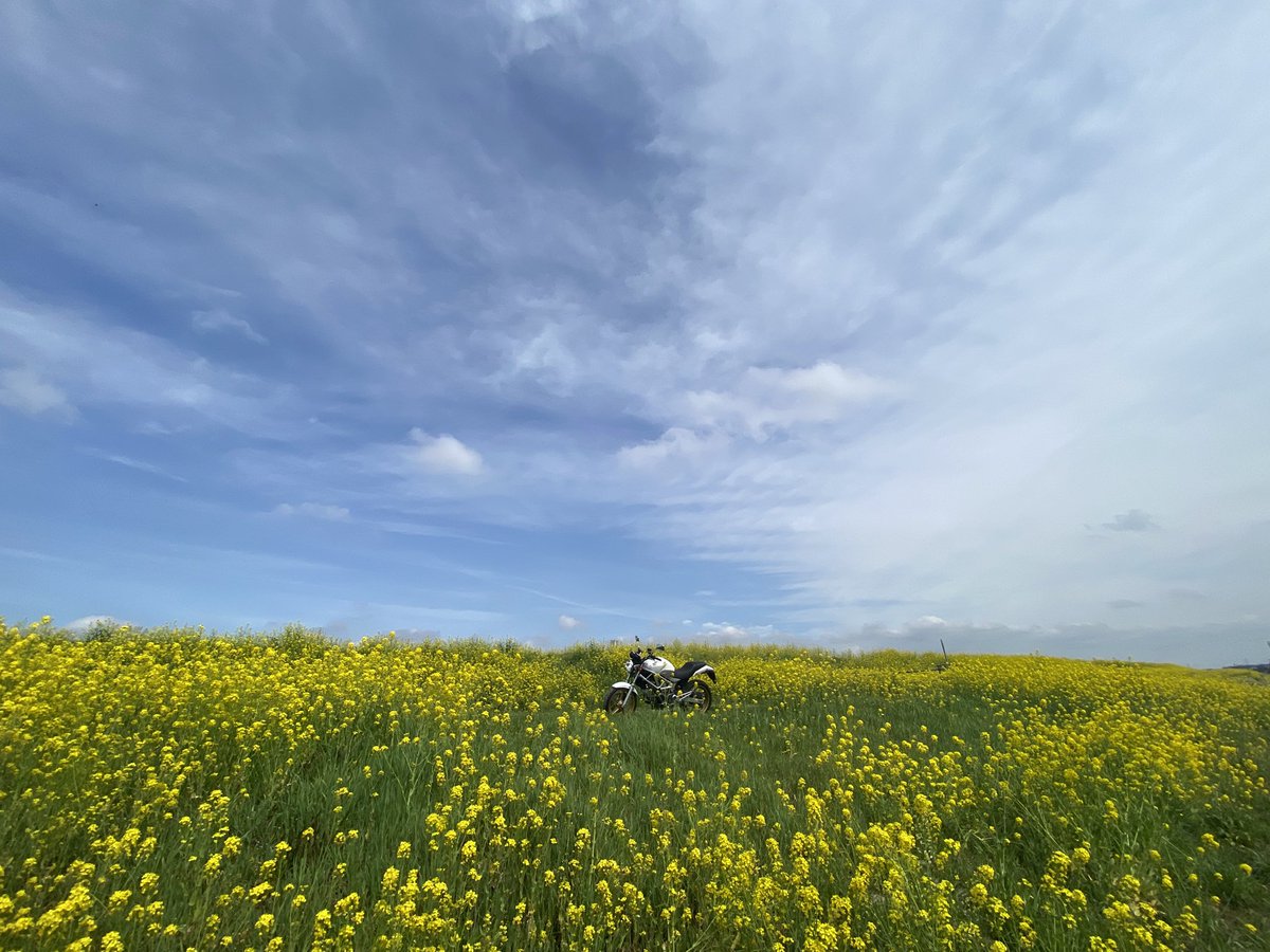 apatti_cross's tweet photo. 最高かよ https://t.co/Qp61A4dmXY