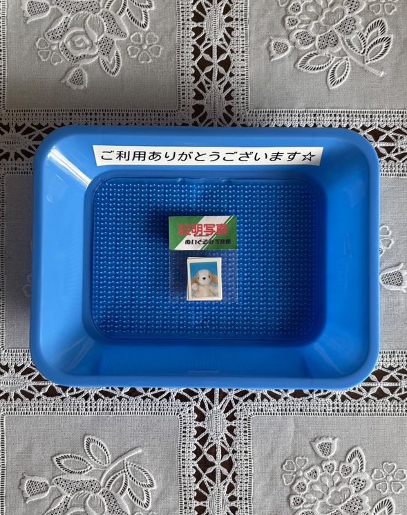 PLAVE ANIPLUS 証明写真 5人 セット 総10枚 ぬい博 on X: