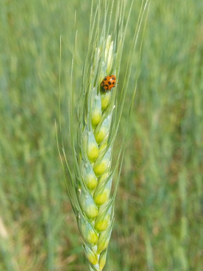 Ashenafi (@ashenafik_) on Twitter photo 