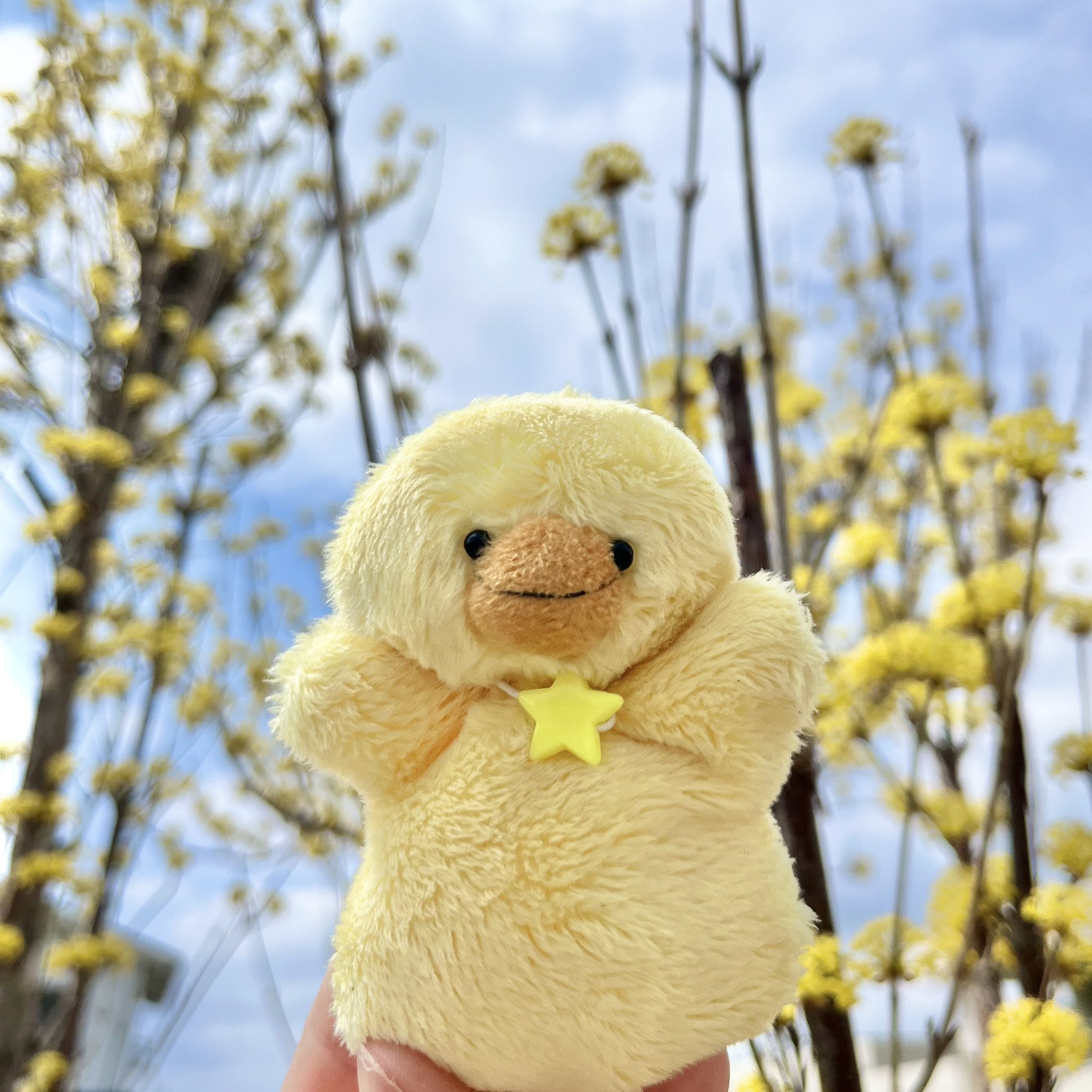 おピヨちゃん おぴよ (@piyocurechan) / X