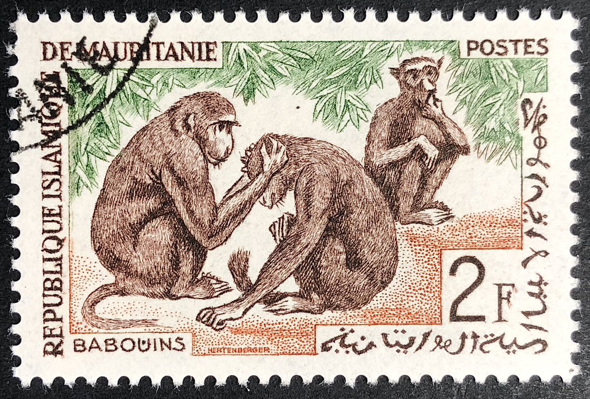 Another iconic creature from Africa – the Baboon. I’ve always been fascinated by God’s creatures, both great and small. This #EngravedBeauty was issued in 1963.