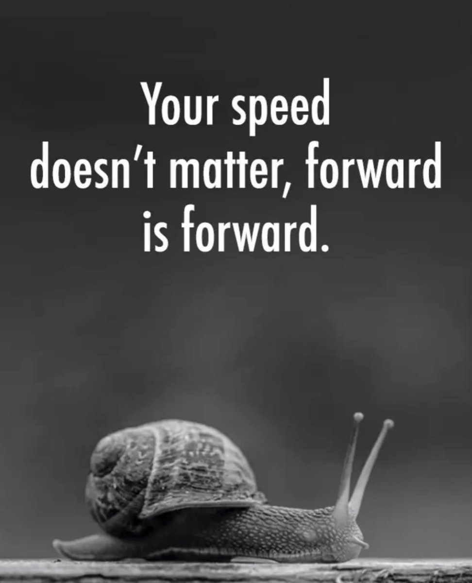 Our speed does not matter in life.💯
