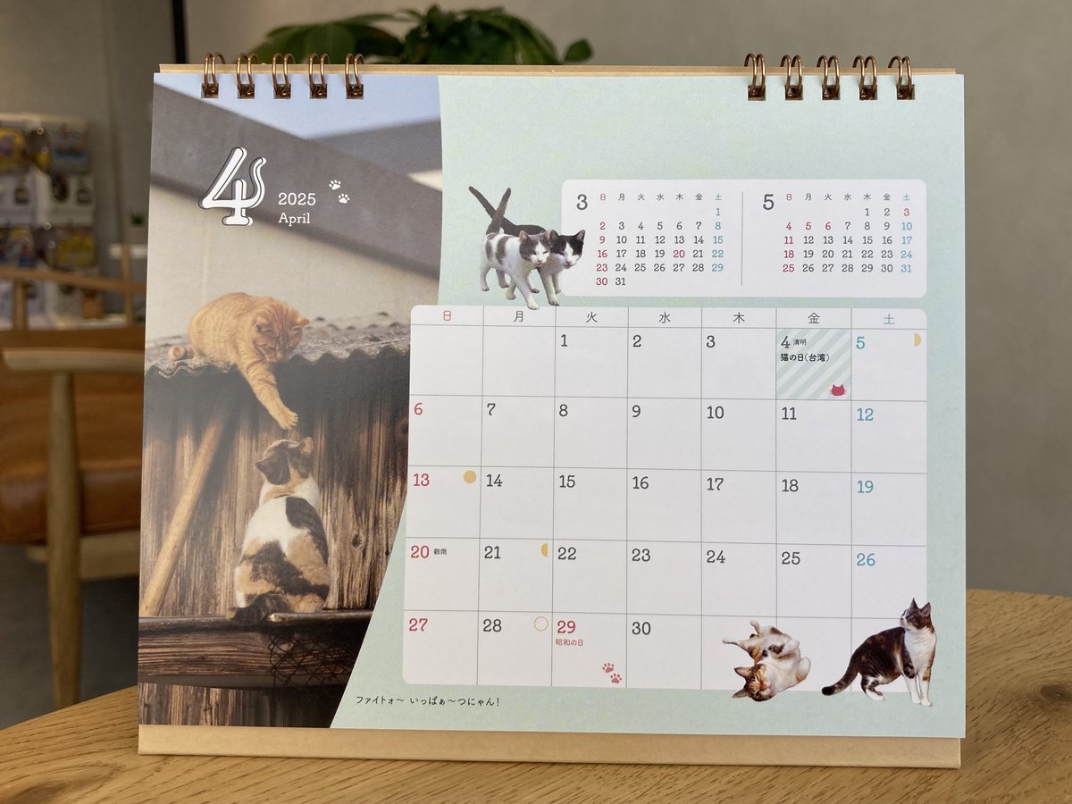 にゃっぷる編集部 (@mapple_nyapple_) / Posts / X