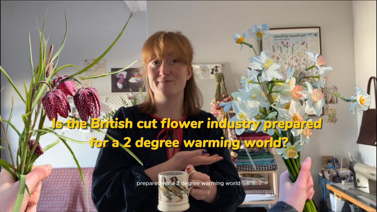 NuffieldFarming's tweet photo. 📽️ #NuffieldFarming report video from flower farmer and campaigner Roisin Taylor ➡️ https://t.co/0VC3HFehfR

 💐Read 'Revival and Survival: is the British cut flower industry prepared for a 2-degree warming world?' in full here  ➡️ https://t.co/CSq8xoeZ47 https://t.co/7j4FCAR3sO