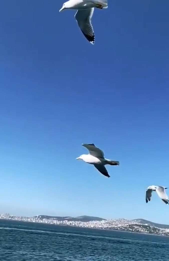 Yolun bundan sonrasını,
Helden anlayanlarla devam edeceğiz...
Yüreği Güzel insanlar
 Günaydın🌼☕