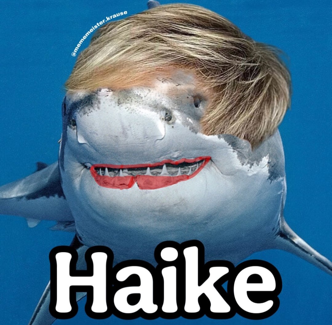 Wer kennt sie nicht? 
#SchleFaZ