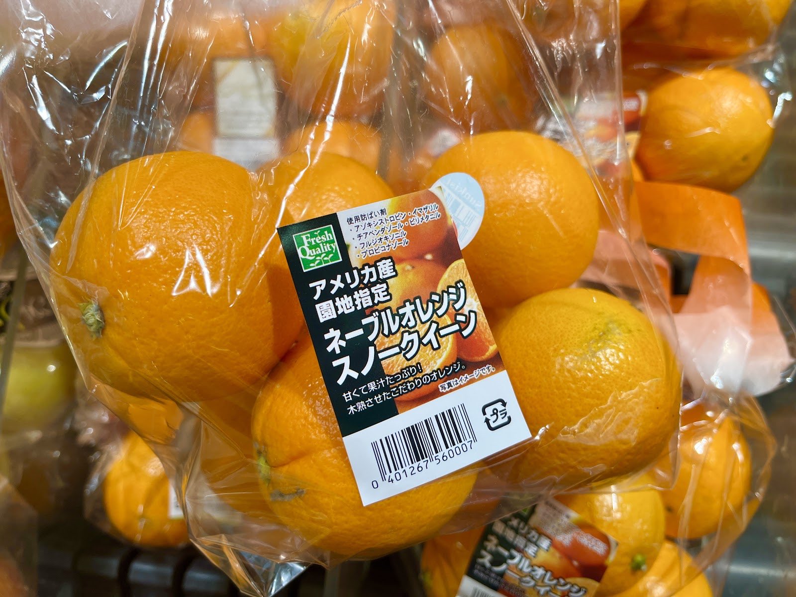 ネーブルオレンジ ネーブルオレンジ（72玉サイズ） 【業務用食材の仕入れなら