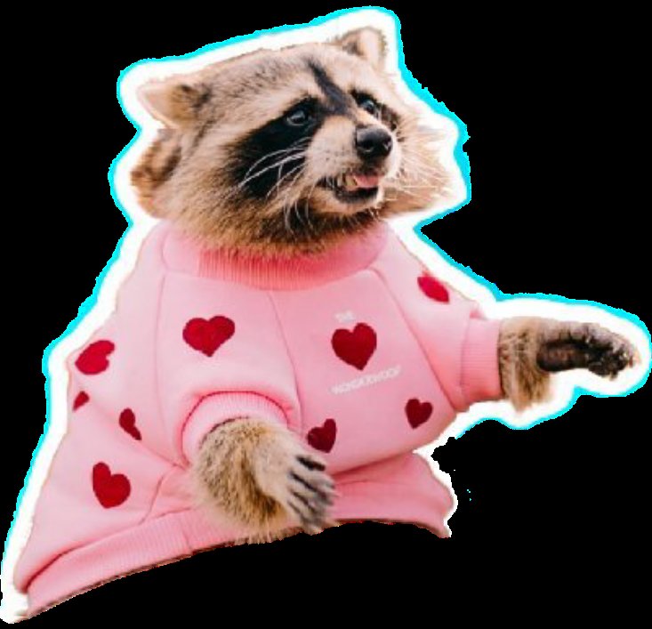 Cryp_T_1's tweet photo. @DMTLAND_ Idea: 
1. Buy $TEMA 
2. Become a future #millionaire 
3. Enjoy the weekend 

#Tema @Tema_Raccoon $SOL #Solana #SolanaMemeCoins #raccoon https://t.co/t0JIEMeuEl