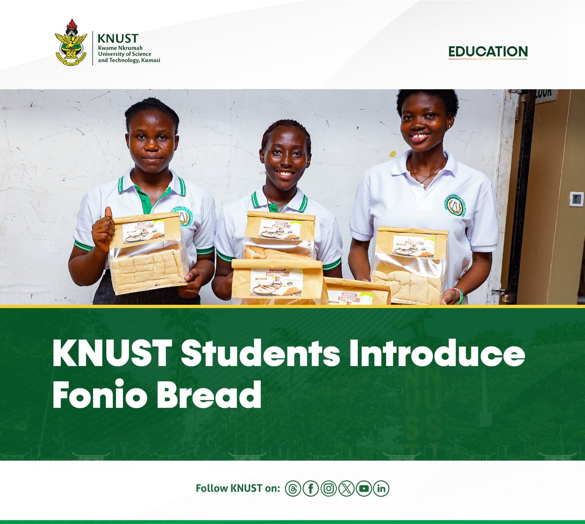 KNUSTGH's tweet image. Fonio, known for its high protein, fiber, amino acids, vitamin B, and mineral content, is underutilized in Ghana and primarily found in the northern regions.

Learn more here⬇️
knust.edu.gh/news/news-item…