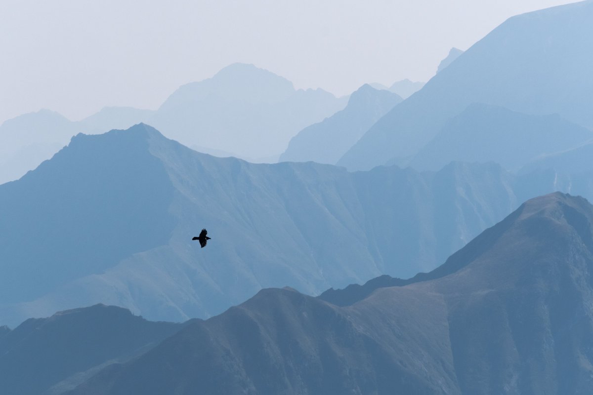 Frames from Gastein AT