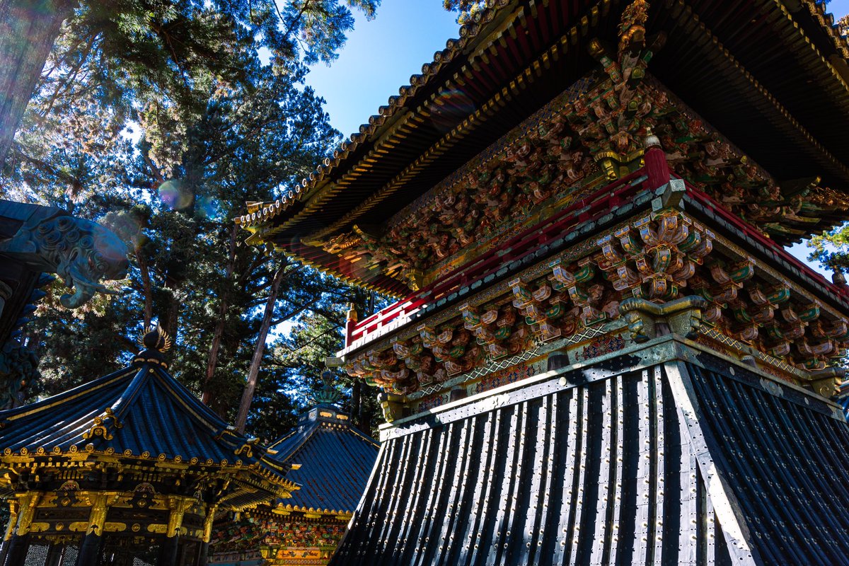 鳶の目玉 (@wnjjv7t00u89081) on Twitter photo 