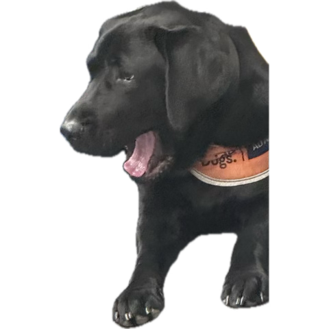 “We’re launching…” “chatGPT can now..” 

My brain can’t take anymore 🫠