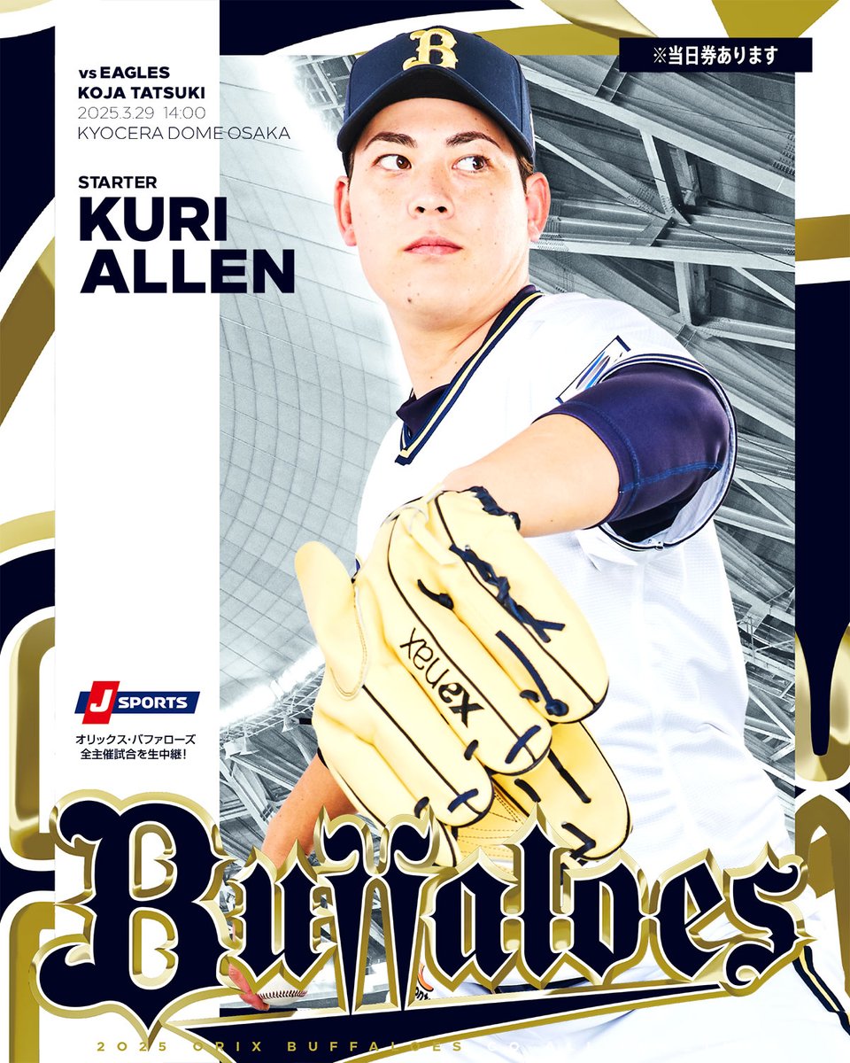 楽天イーグルス 9/29(日)楽天vsオリックス◇VIP席ペア◇※予備券