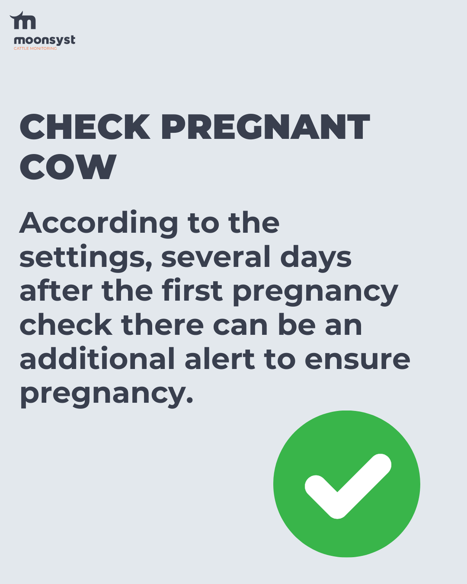 Moonsyst tweet media