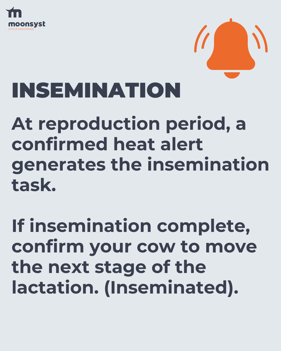 Moonsyst tweet media