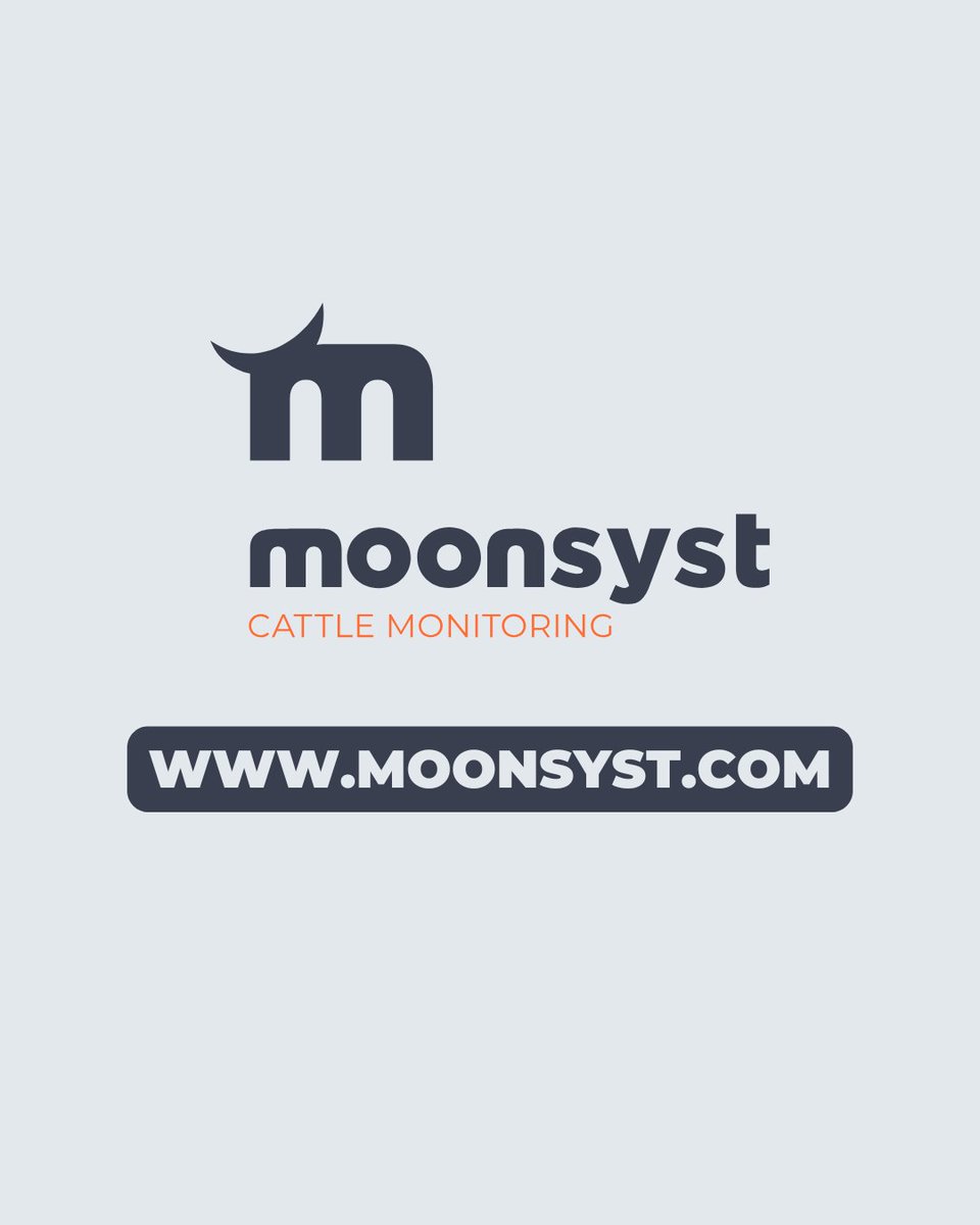 Moonsyst tweet media