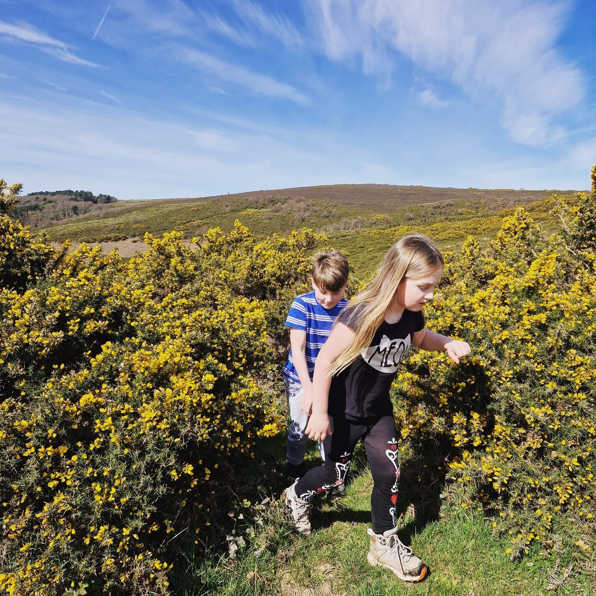 Exmoor Nature Festival 2025
The full event listing and printed programme is now available!

Saturday 17 May Sunday to 1 June, over 60 events and activities celebrating wildlife and wellbeing across the National Park.

More info
exmoor-nationalpark.gov.uk/enpa/press-roo…