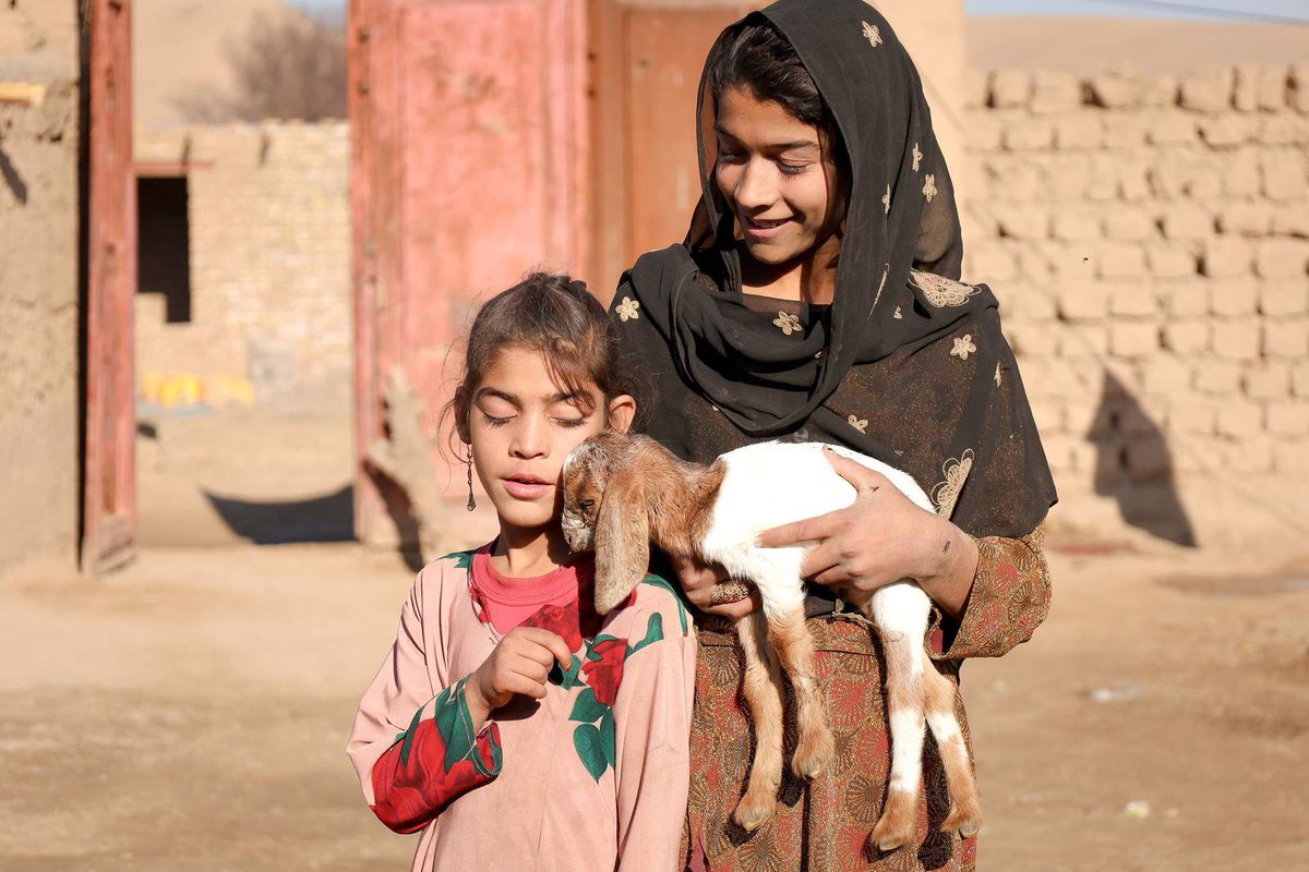 Italy in Afghanistan (@italyinafg) on Twitter photo Sempre onorati delle visite delle ONG italiane attive in Afghanistan, che ci permettono di approfondire il lavoro sul campo degli operatori di cooperazione.
Grazie a Claudia Oriolo, Direttrice regionale Eurasia di <a href="/WeWorldOnlus/">WeWorld Onlus</a> e Fabio Checcacci, Direttore Paese Afghanistan, per Sempre onorati delle visite delle ONG italiane attive in Afghanistan, che ci permettono di approfondire il lavoro sul campo degli operatori di cooperazione.
Grazie a Claudia Oriolo, Direttrice regionale Eurasia di <a href="/WeWorldOnlus/">WeWorld Onlus</a> e Fabio Checcacci, Direttore Paese Afghanistan, per