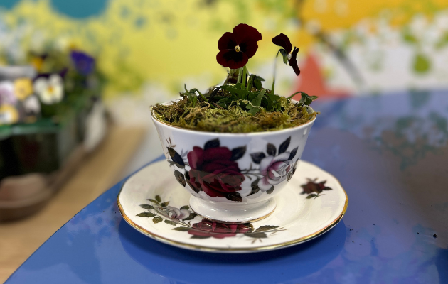 We invited families to create something special for #MothersDay - Pick a teacup and write a message of love before planting a flower.   We hope all Mums who see this, whether they are Mums to be, Mums of many years, or Mums of children no longer here, know how loved they are🌸