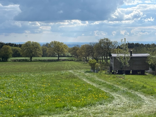 The 7-day forecast is looking warm and sunny! Perfect for a glamping break in Somerset - visit torviewshepherdshuts.co.uk to book! #wells #glastonbury #frome #hottub #views #rural #retreat #petfriendly