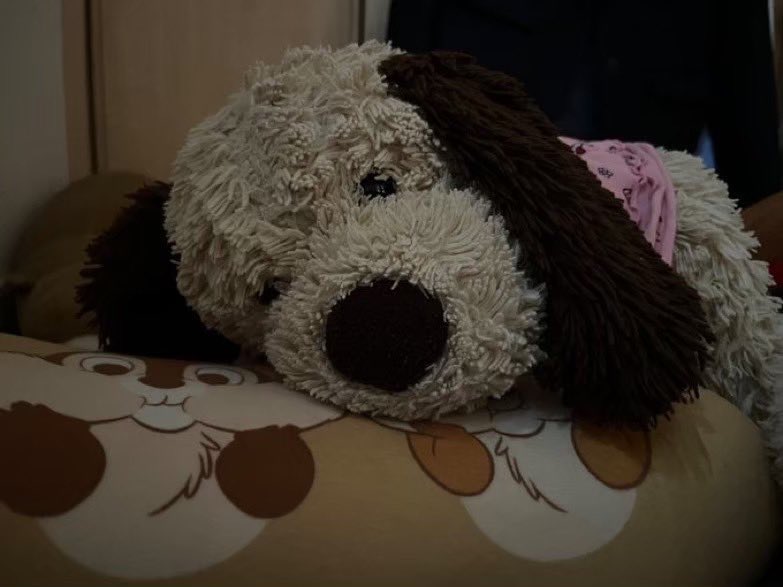 落ち込むぬいぐるみ (@depressed_nui) on Twitter photo 