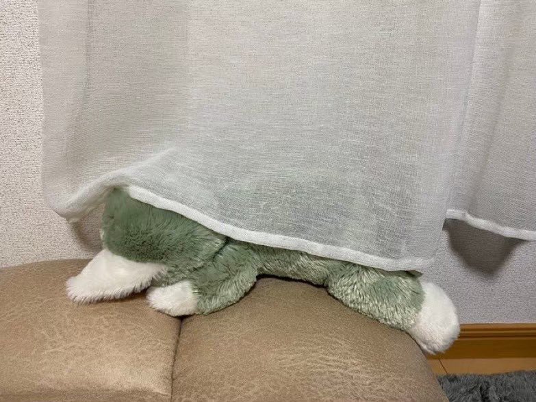 落ち込むぬいぐるみ (@depressed_nui) on Twitter photo 