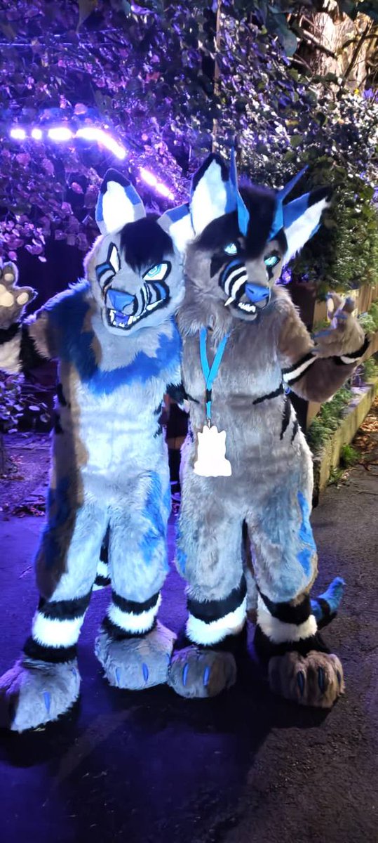 Watch out, the demons are in town!  😈😎
#FursuitFriday

🪡 Both fursuits are mine
🐺 2nd Suiter: <a href="/Sivalla1/">Sivalla 🔜NOVA / Awoostria / FFD</a>