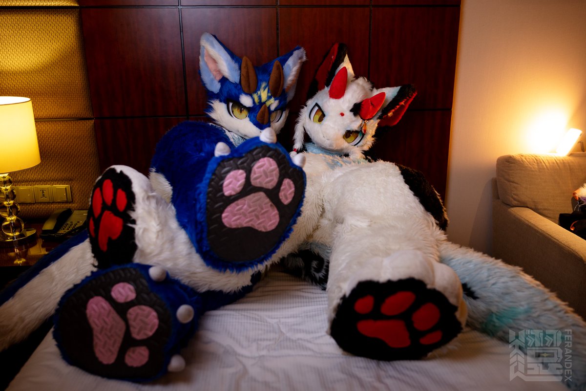 #FursuitFriday
今日是爪控福利哦（bushi）
🥩：@橘猫猫
🐉：<a href="/DragonDreamy_/">龙幻_Dreamy</a>
📷：<a href="/lyfx2020/">FerandEX·翼轩</a>
