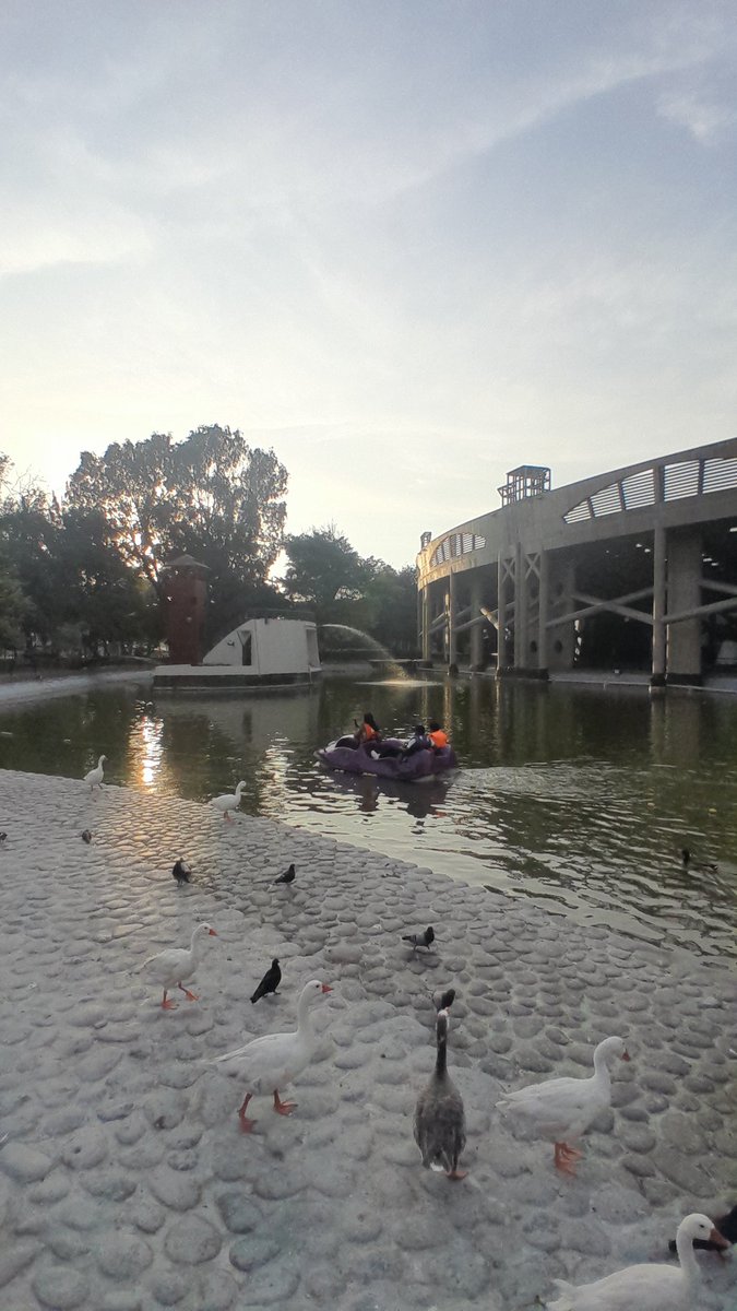 LimaPocketGuide's tweet image. 