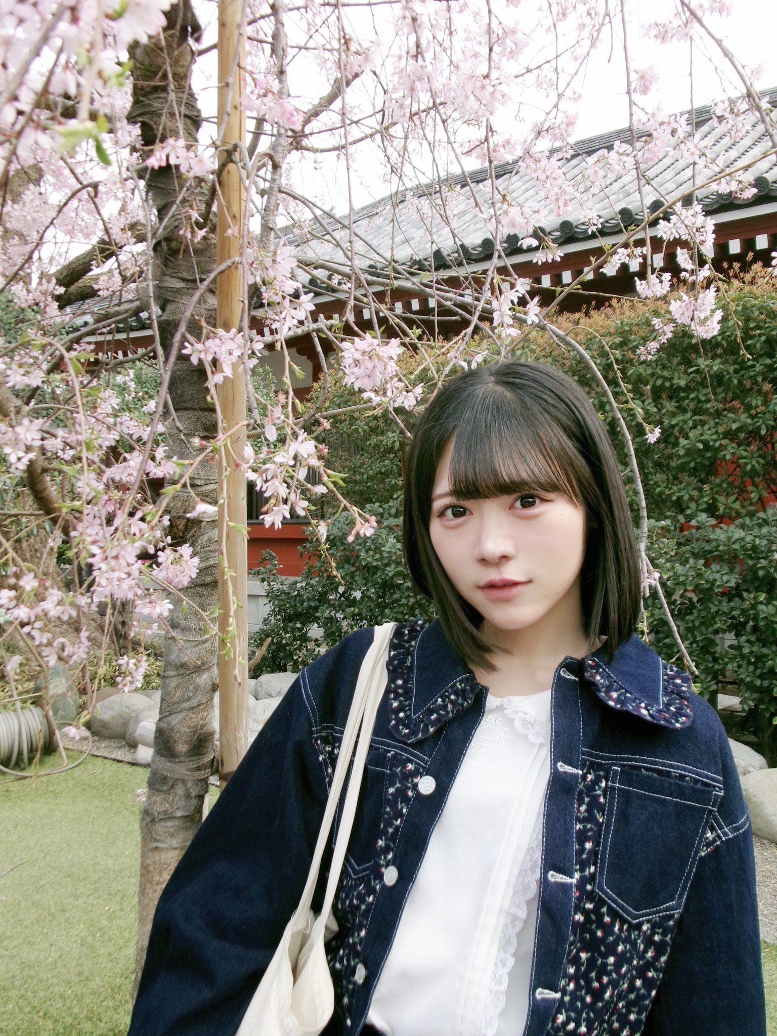 大西葵　イコノイジョイ2024衣装　ヒキ　直筆 ごりばちょふ on X: 