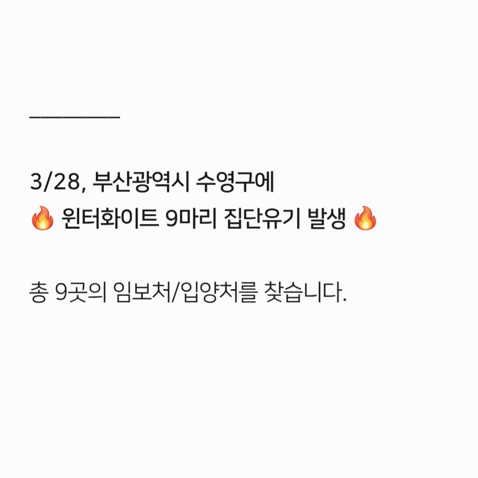 컷오프 프로젝트 tweet media