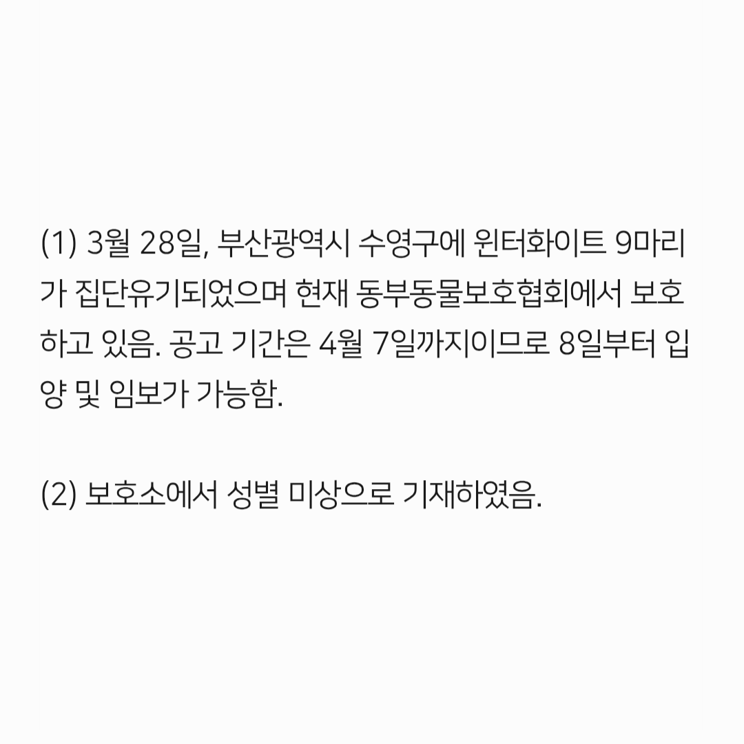 컷오프 프로젝트 tweet media