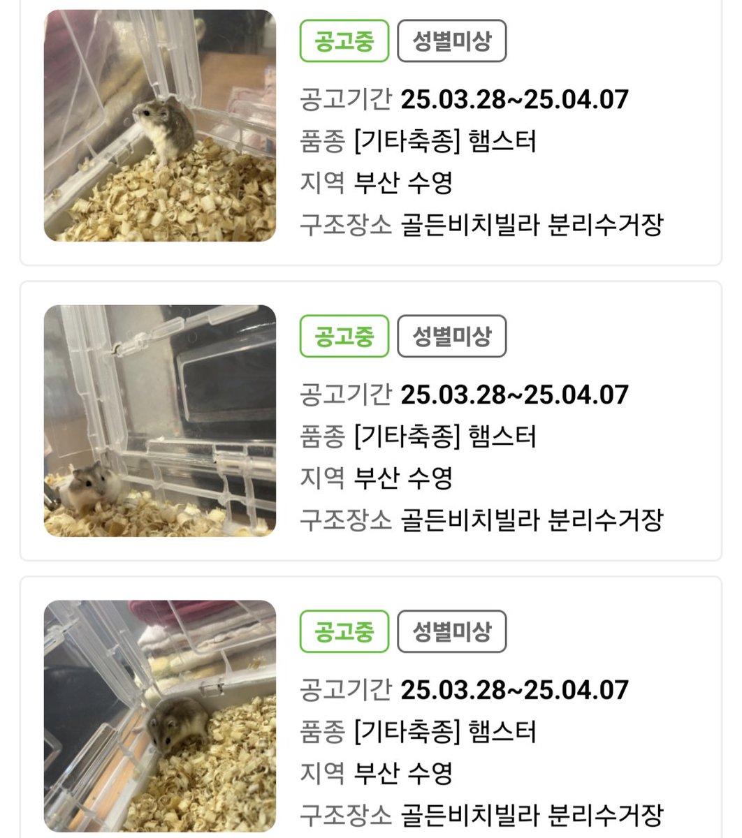 컷오프 프로젝트 tweet media