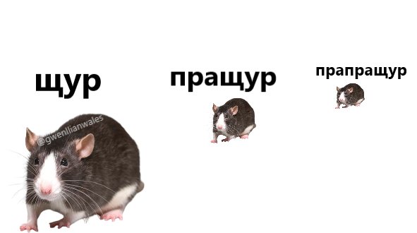 Щурий мем