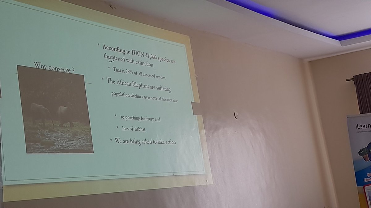 The ivory belongs to the Elephant. Say No to Poaching. 
Conserve the habitat 
#conservation 
#Elephant 
<a href="/ElephantsTN/">The Elephant Sanctuary</a> 
<a href="/KCCWG/">The Kenya Climate Change Working Group</a> 
@WCK
<a href="/AWF_Official/">AWF</a> 
<a href="/Afuneh_Ke/">Fredrick Jæ Home</a> 
<a href="/KWSKenya/">Kenya Wildlife Service</a>