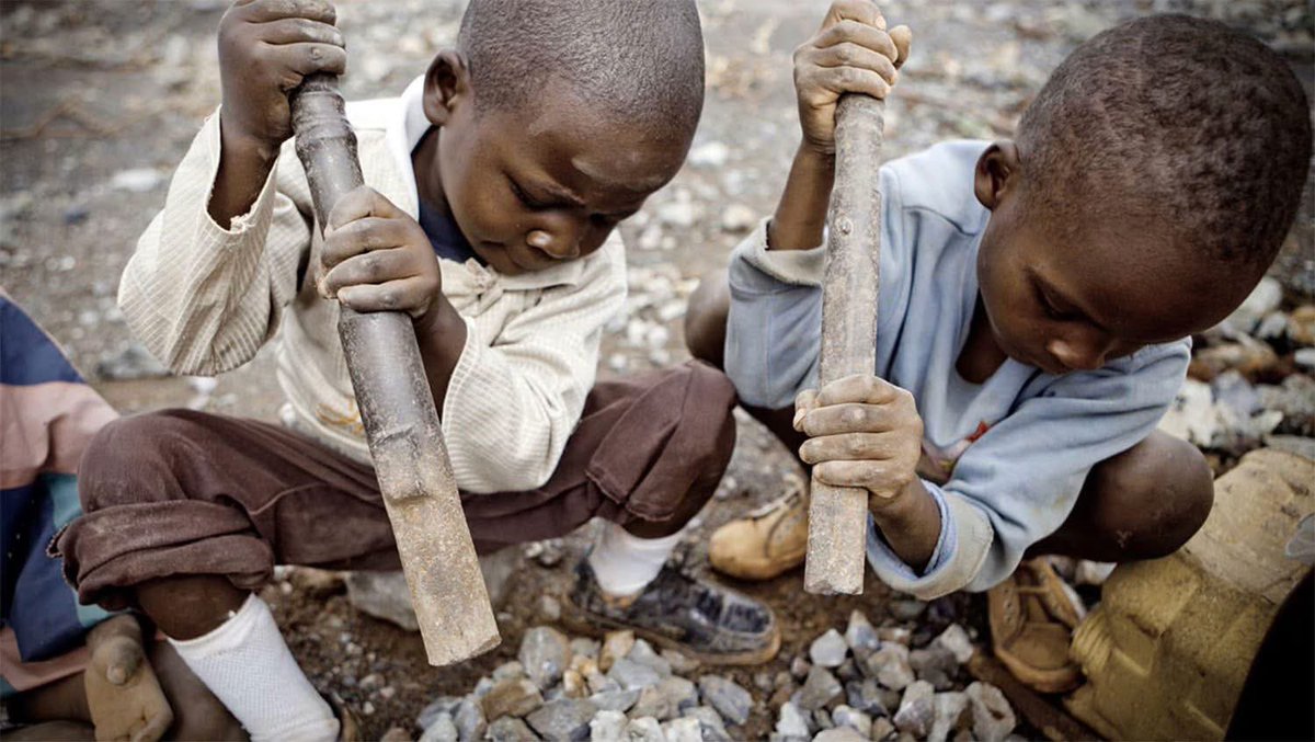 pulpfacts's tweet photo. @LilyDAmbrosioMP Let’s acknowledge the child slave labour that mine the cobalt for your neighborhood batteries. https://t.co/MsCmjdniOa