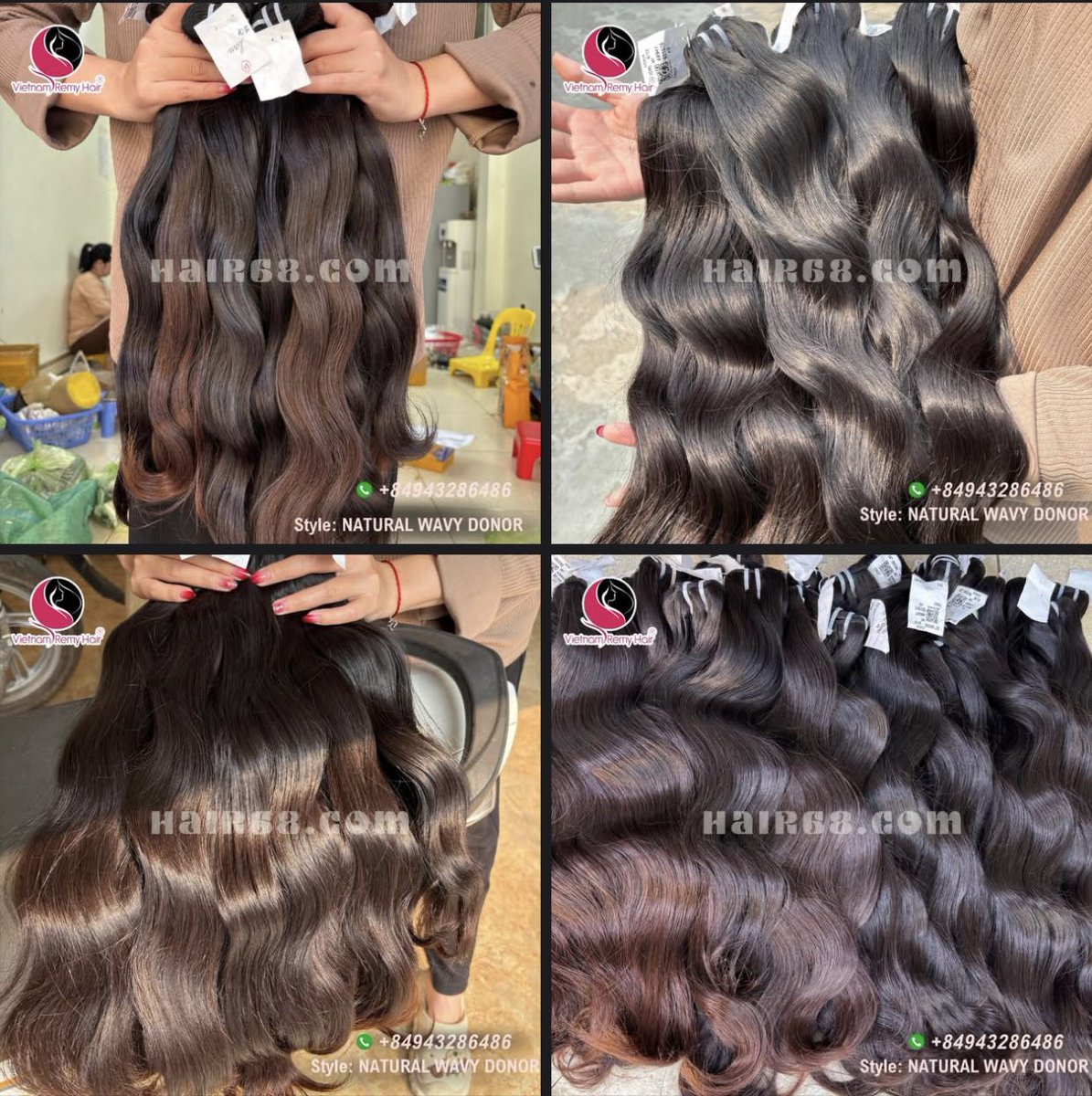 Remy_hairs's tweet photo. NATURAL WAVY | DONOR  #1B💖🫰🏻
👉🏻Whatsapp: +84943286486 
#vietnamremyhair #hair68 #manecandy #humanhair #fulllacewig #mobhair #behindthechair #hairproducts #rainbowhair #transparentlace #lacewigs #frontals #voiceofhair #rawindianhair #wigs #modernsalon #virginhairextensions #virginhairsupply #tokyostylez #fulllacewigs #customwigs #manecandyshop #rupaulsdragrace #hdlace #wigproducts #wigstyling #wigmaker